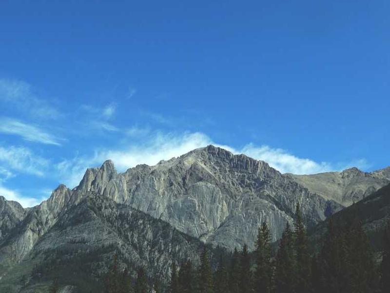 Vinci Hair Clinic: Üks Maailma Parimaid Juurdekasvatustega Haavereklami Spetsialiste!