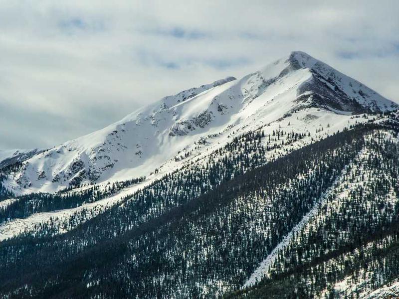 Viis asja, mida tuleb teadelda non-surgerysist hajukihilisünteesest - Doktor Piya