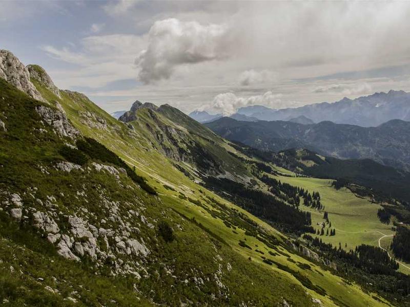 Londonis parimad juhtumüükad 2025.