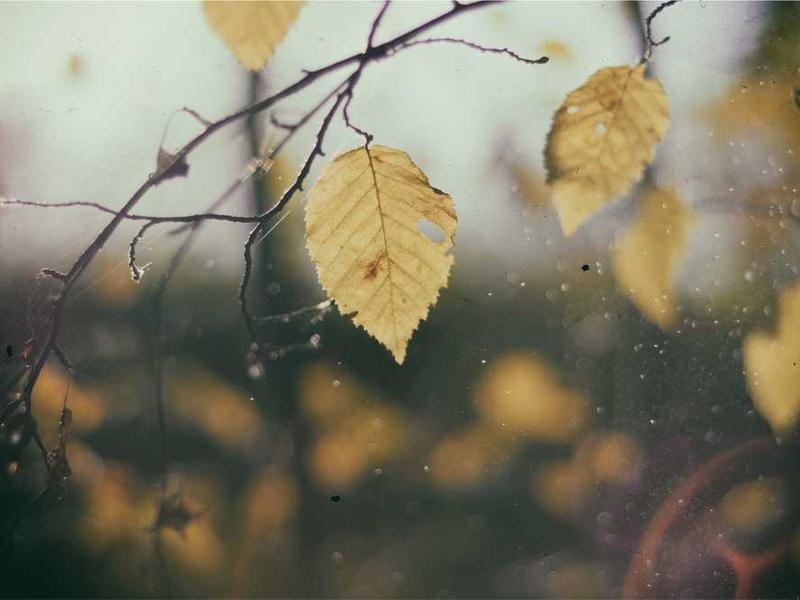 Peaohutamine Oh Jaa!: Traditsiooniliste ja uute tehnoloogiate ühinemine peadest võõrustamiseks