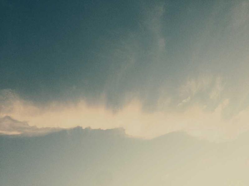 "Donald Trumpi varjutavad hüüpseerimised: New Yorgist tuleb kahtluste taha 5 arvatavat transplantaatsiooni"