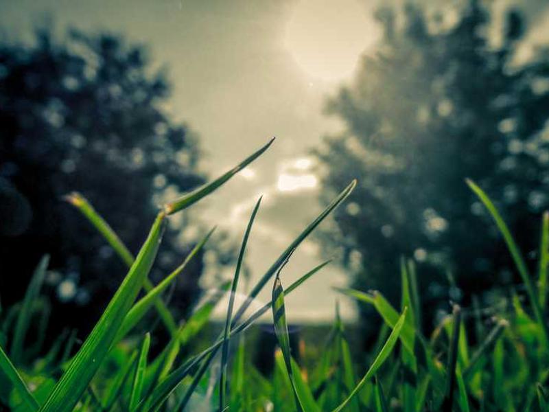 Mitu meest on algul teatanud riietusprobleemidest, nüüd kogub neist ülekaalus naiste puhkus.