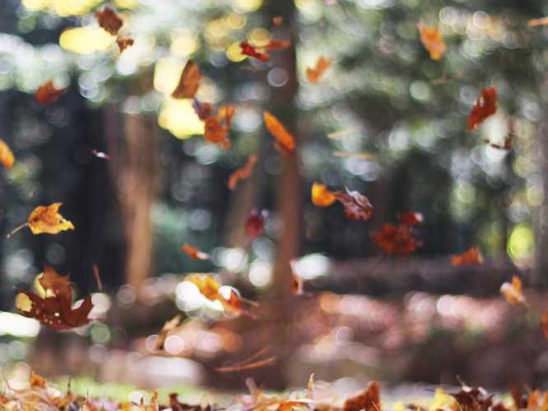 Uus toonuse võimendamine: biotehnoloogia investoorid ootavad uut generatsiooni müristusvastase ravimeid.