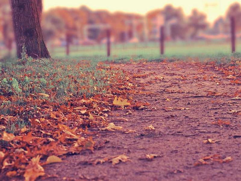 Traaktilise alveaegsete kulmude ravimisvalmis? Uued õppemüüdised võimaldad kõige uudsemaid võimalusi!