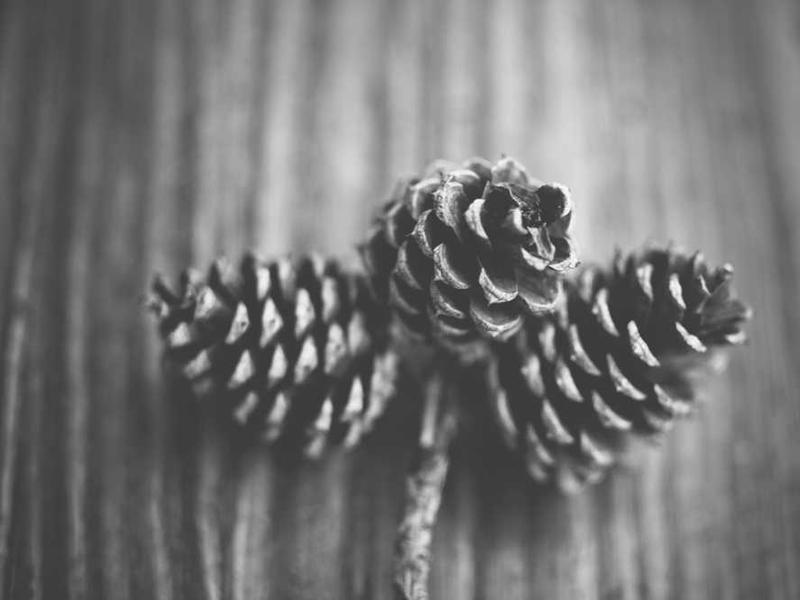 Pilgutega võitleva uuringu kohaliku farmatseutilise investeerib 120 miljonit dollarit.